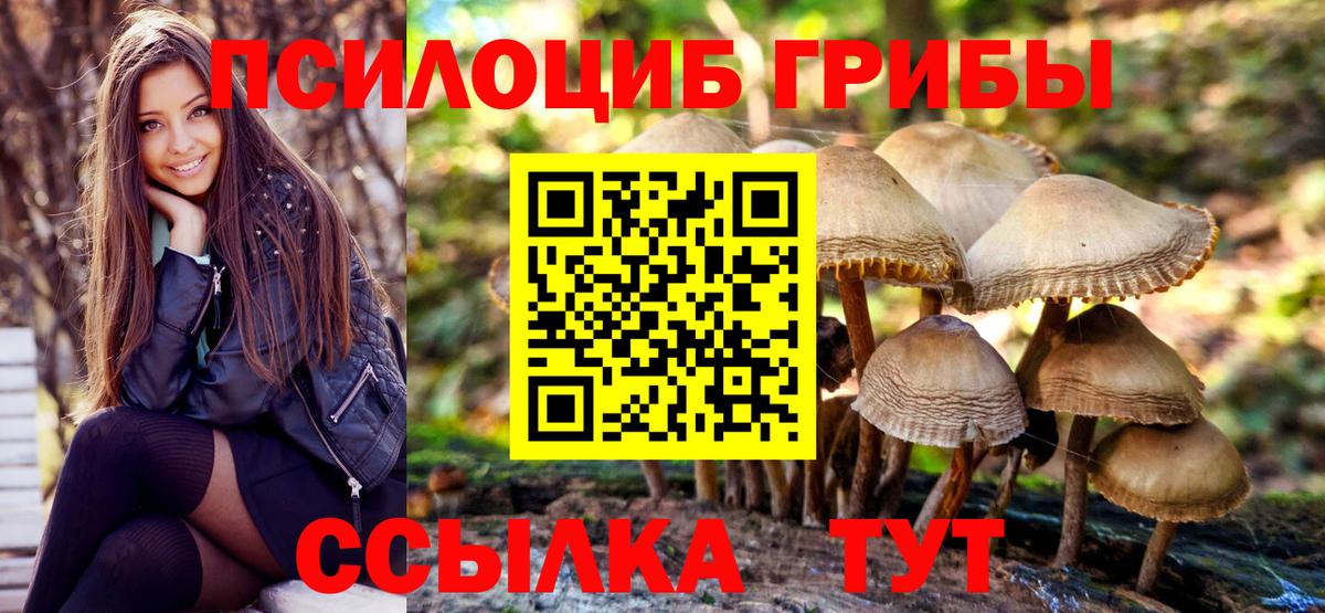 Галлюциногенные грибы ЛСД Чехов
